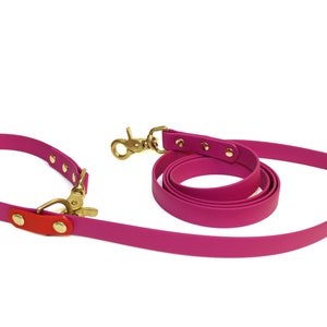 Puede incluir: Un juego de collar y correa para perro de color rosa con herrajes dorados y detalles rojos. La correa está enrollada y el collar está colocado plano.