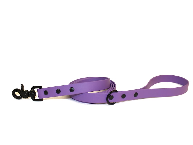 Puede incluir: Una correa para perro de color morado con un clip de metal negro y un anillo en D. La correa est&aacute; hecha de un material duradero e impermeable.