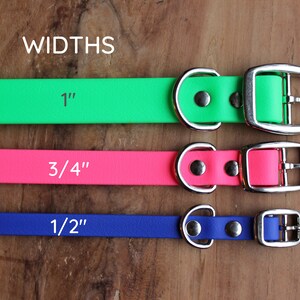Puede incluir: Tres collares para perros de diferentes anchos: 1 pulgada, 3/4 de pulgada y 1/2 pulgada. Los collares son verde, rosa y azul, respectivamente. Cada collar tiene una hebilla plateada y un anillo en D plateado.