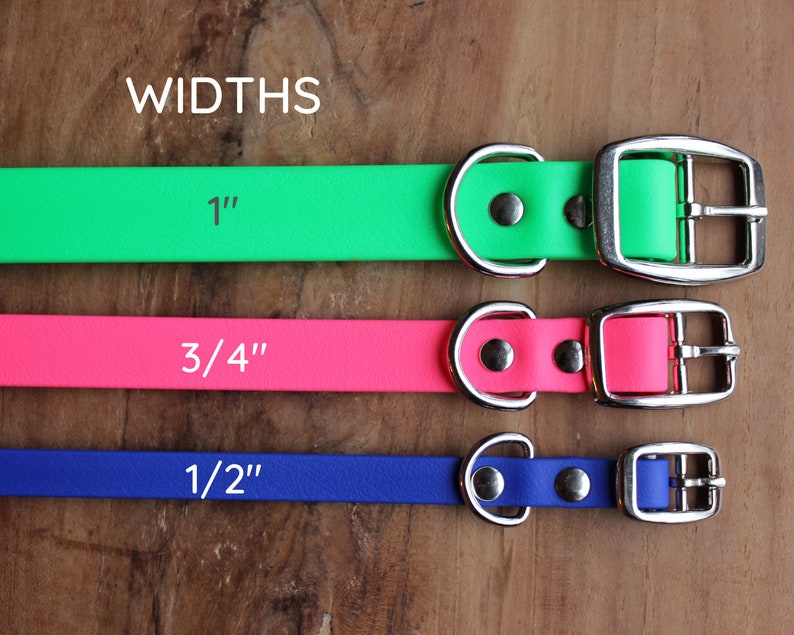 Puede incluir: Tres collares para perros de diferentes anchos: 1 pulgada, 3/4 de pulgada y 1/2 pulgada. Los collares son verde, rosa y azul, respectivamente. Cada collar tiene una hebilla plateada y un anillo en D plateado.