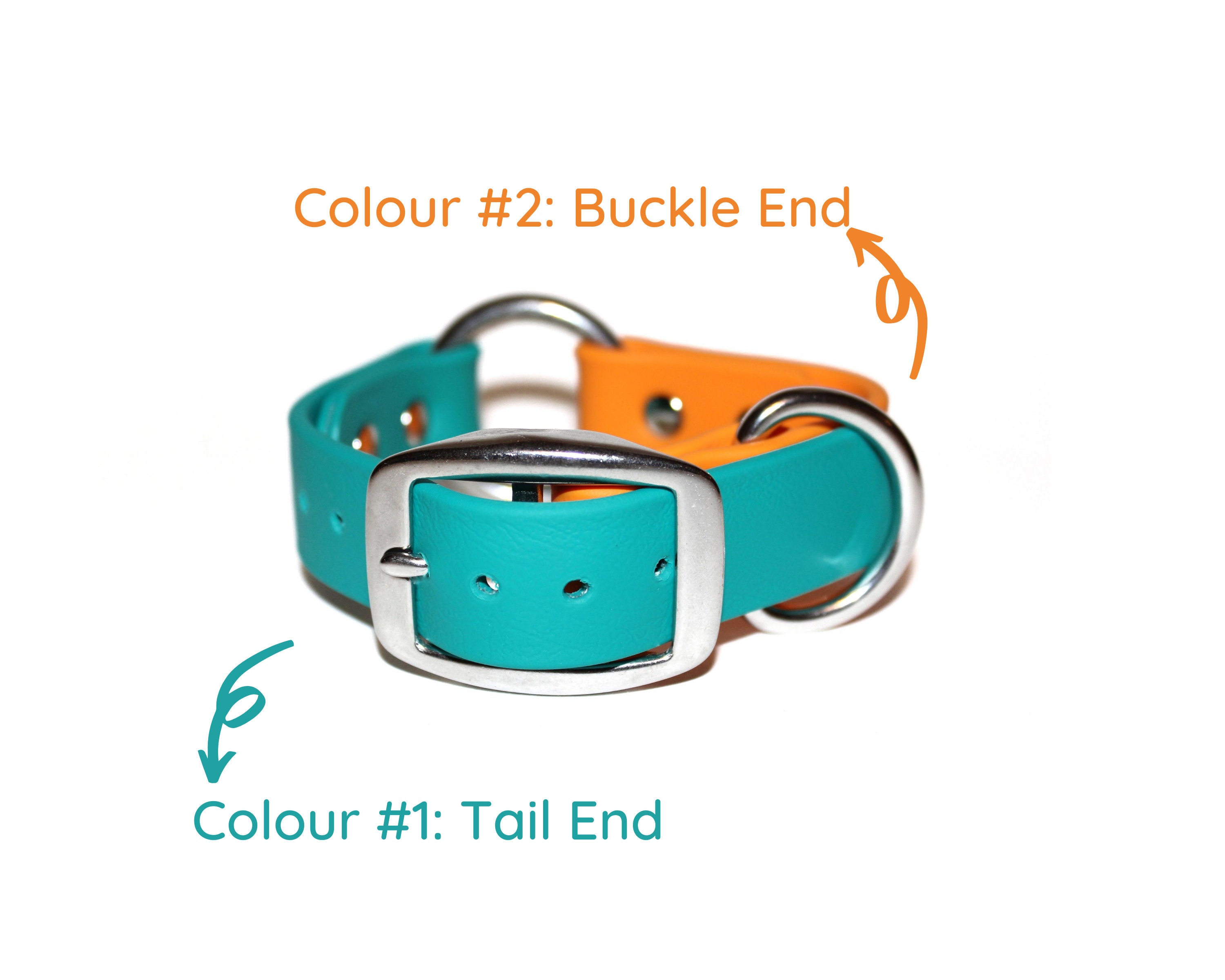 Safety Dog Collar Oring Dog Collar Two Tone Dog Collar Etsy Canada