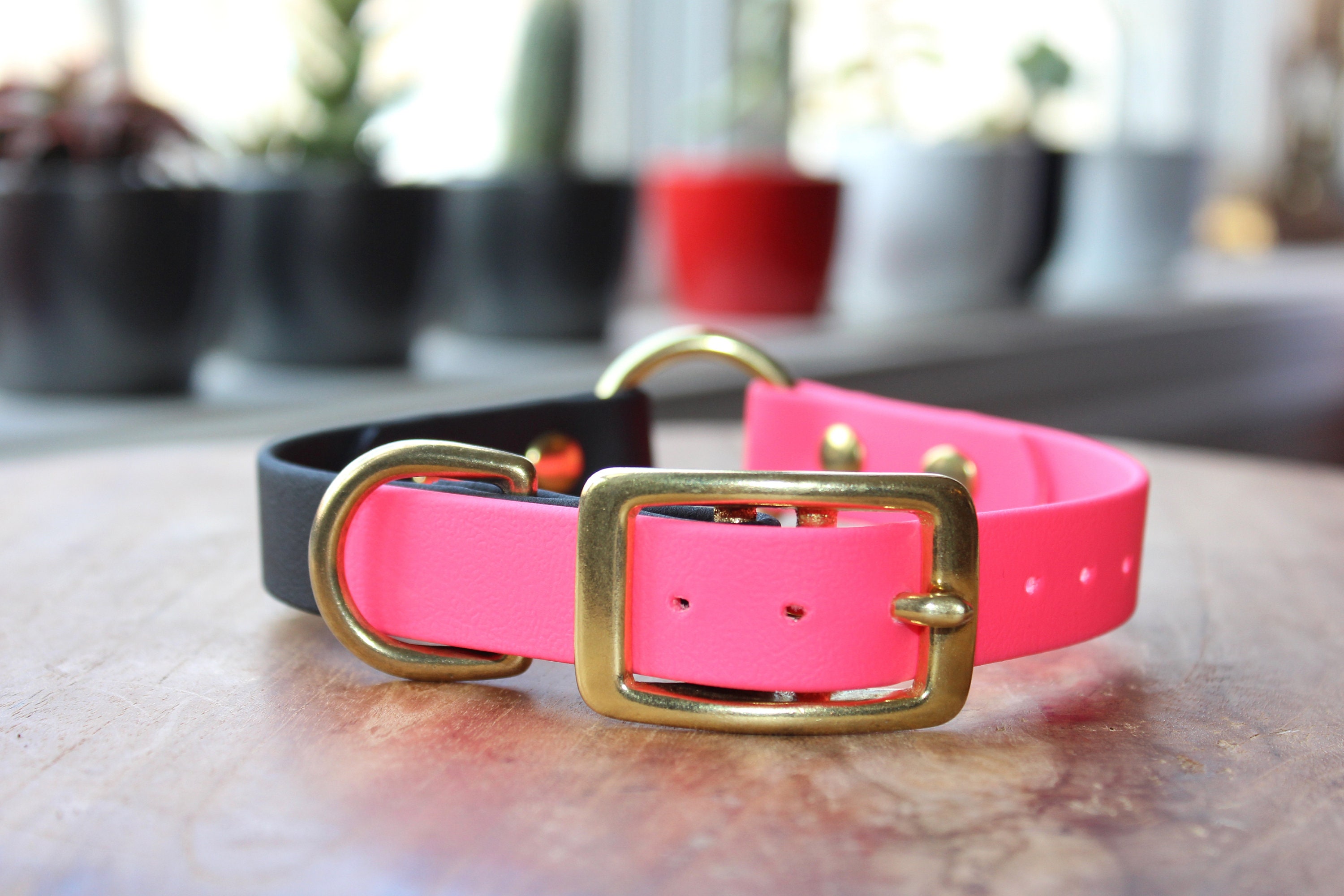 Safety Dog Collar Oring Dog Collar Two Tone Dog Collar Etsy Canada