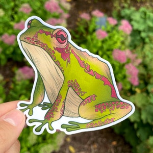 Frog Sticker Cute Animal Gift Green Goblin Core Cottagecore Decals High Quality Vinyl Stickers