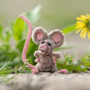 Pu&ograve; includere: Un piccolo topo di uncinetto grigio con orecchie rosa e una lunga coda rosa. Il topo &egrave; seduto su una roccia con erba verde e un fiore giallo sullo sfondo.