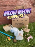 MEOW MEOW SURPRISE! Miniature Beanbag Kitty Cat with Playset