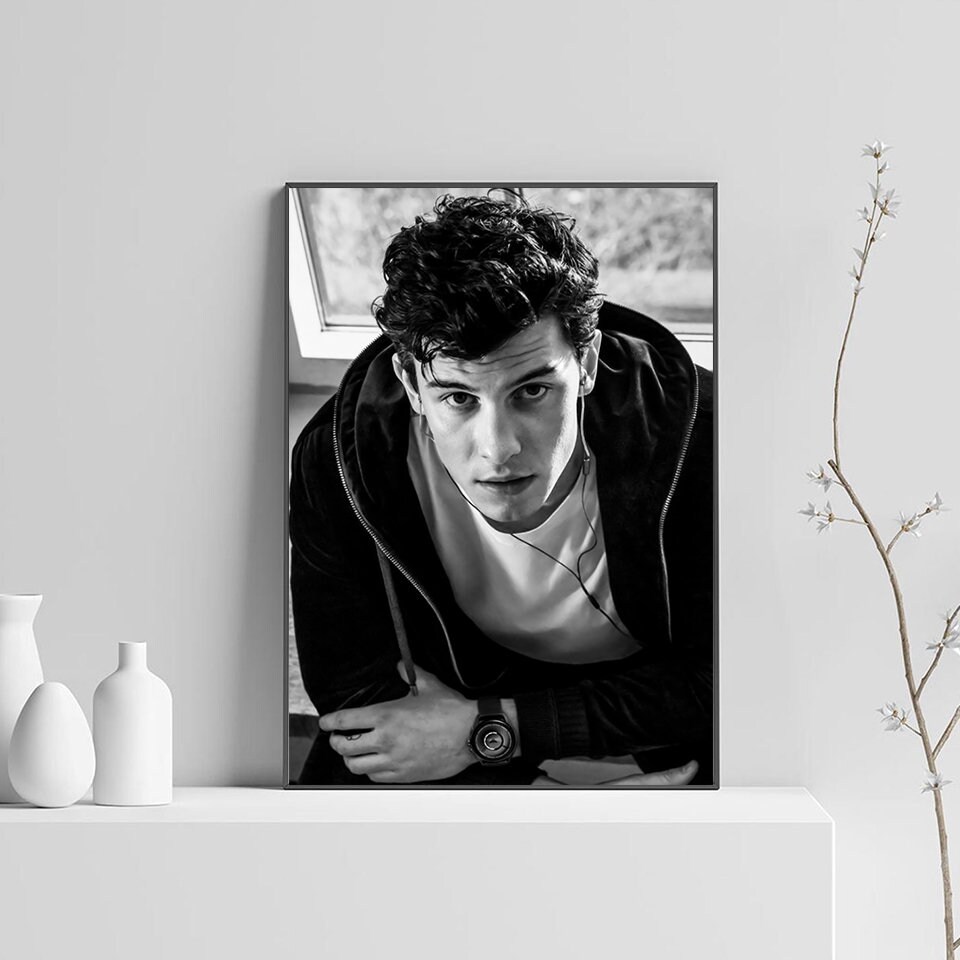 Shawn Mendes Custom Poster Shawn Mendes Print Poster Print | Etsy