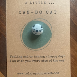 Can do cat of positivity! reminder strength, perfect, you are, pocket pebble, worry less, stress, anxiety relief, self care gift, you got it