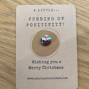 May include: A small, brown card with the text "A LITTLE... PUDDING OF POSITIVITY!" and "Wishing you a Merry Christmas." A small, hand-painted Christmas pudding pin is in the center. The website www.palsinyourpocket.com is at the bottom.