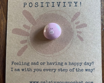 Positivity pet pets/ love pigs/ special rock/ love you gift/ pet for your pocket/ positive thoughts/ well wishes/ good mental health/ fidget