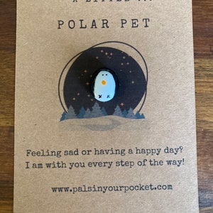 Calza della Befana, Babbo Natale segreto, animale domestico positivo, irrequieto, conforto, antistress, ADHD, pietra liscia fatta a mano, pinguino, piccola idea regalo
