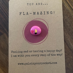 Sei incredibile, fiammeggiante! - ciottolo tascabile a forma di fenicottero - regali a forma di fenicottero - regalo per lei - regalo per un'amica - regalo per amore - ciottolo per cassetta postale - fatto a mano