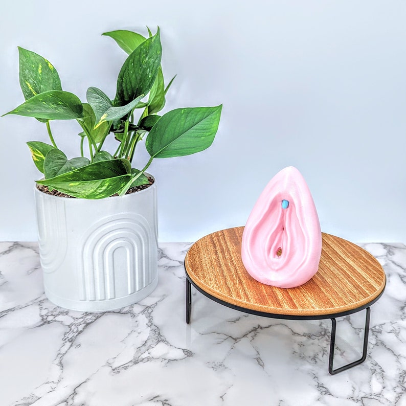 Vulva and Clitoris Model - Free Standing - Sexual Health Education - Detachable Anatomical Figure - Women's Health Educational Tool image 3