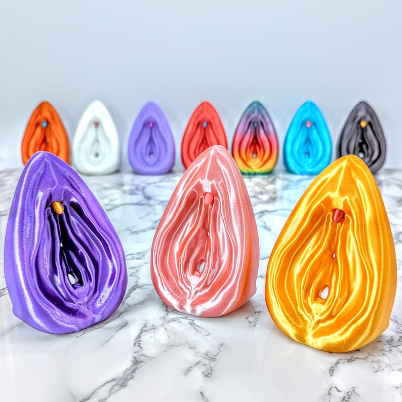 Vulva and Clitoris Model - Free Standing - Sexual Health Education - Detachable Anatomical Figure - Women's Health Educational Tool image 6