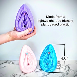Vulva and Clitoris Model - Free Standing - Sexual Health Education - Detachable Anatomical Figure - Women's Health Educational Tool image 10
