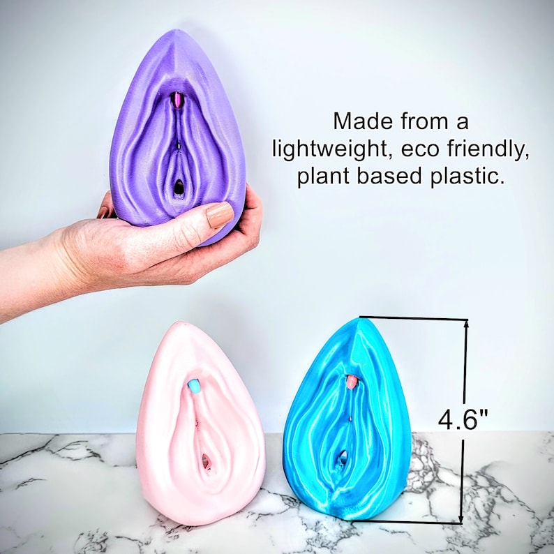 Vulva and Clitoris Model - Free Standing - Sexual Health Education - Detachable Anatomical Figure - Women's Health Educational Tool image 10