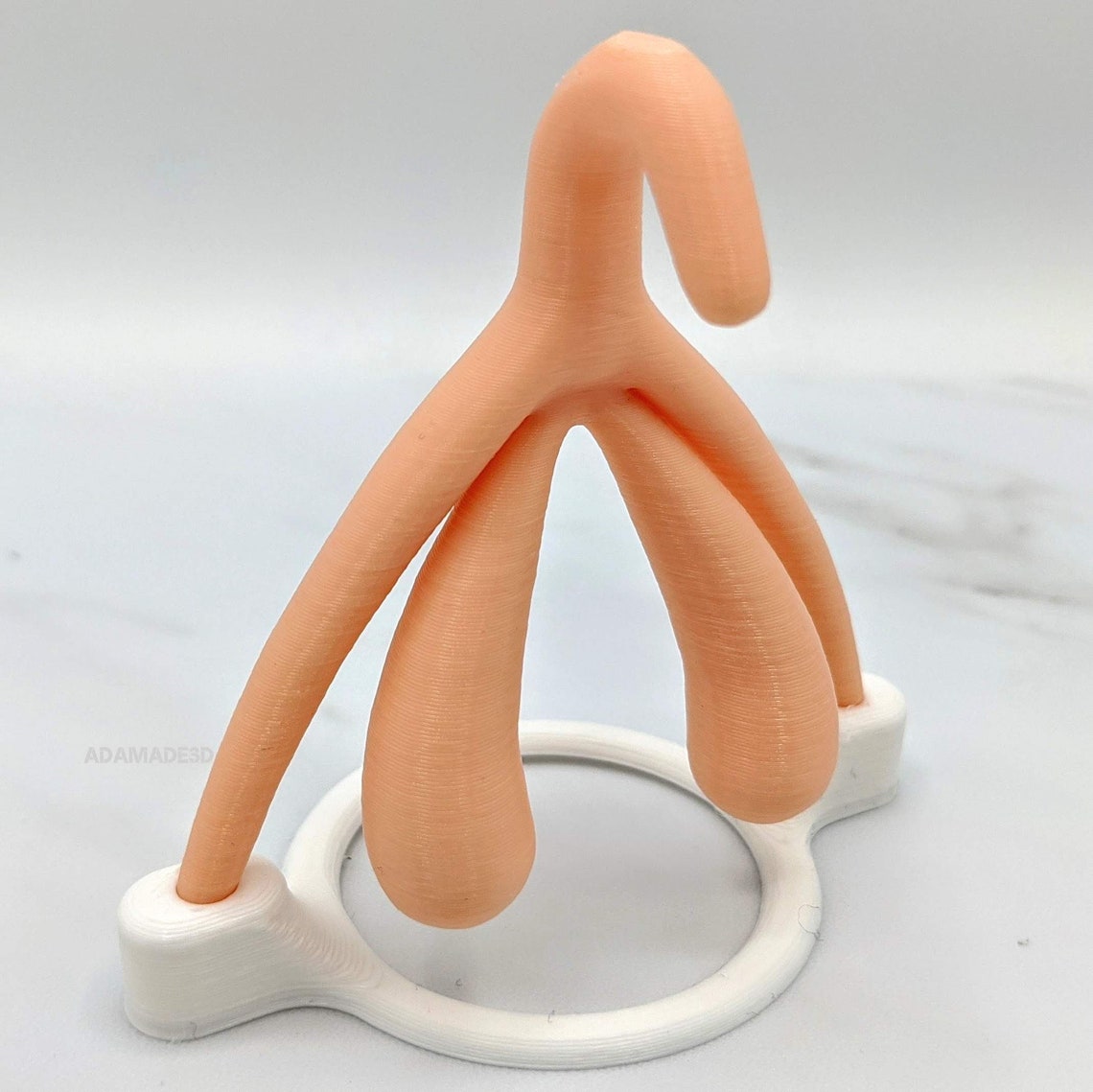 Klitoris Modell voller Größe anatomische Klitoris Modell Etsy