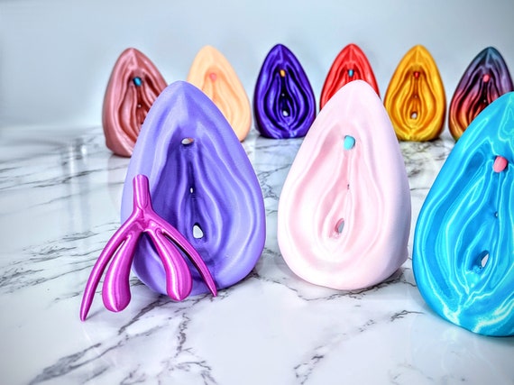 Vulva and Clitoris  Model - Sexual Health Education - Detachable Anatomical Figure - Vagina Art - Women's Health Educational Tool