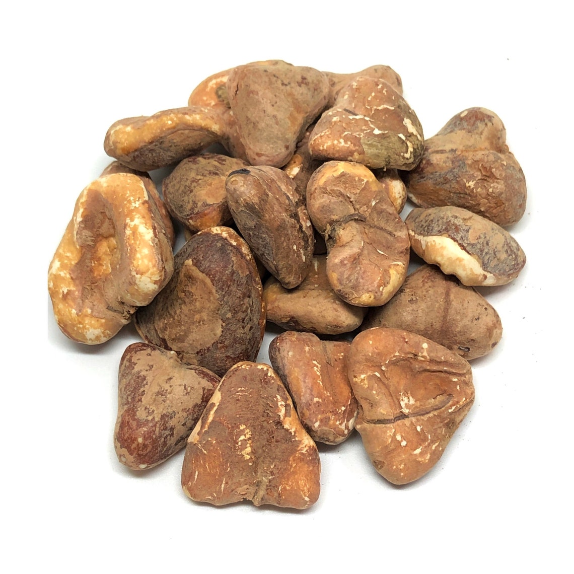 Water Chestnut / Singhara / Dry Singhada / Organic Singhada / Etsy