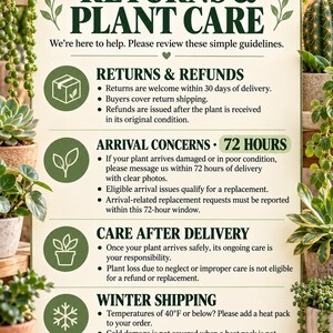 May include: A rectangular sign with a cream background and dark green text titled RETURNS & PLANT CARE. It outlines policies for returns, arrival concerns within 72 hours, care after delivery, and winter shipping for temperatures of 40&deg;F or below.