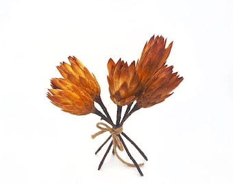Dried Protea Repens Flower Bundle Natural Wedding Bouquet Elements Preserved Floral Arrangement Spa Office