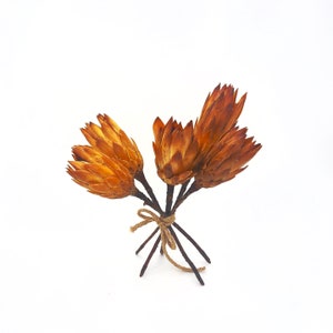 DRY Small PROTEA Repens Flower Natural Wedding Bouquet Home Decor DIY Elements Bff Special Gift Idea