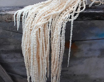 Preserved Amaranthus Bundle: Boho Wedding Floral Decor Supplies Dry Flower Arrangement
