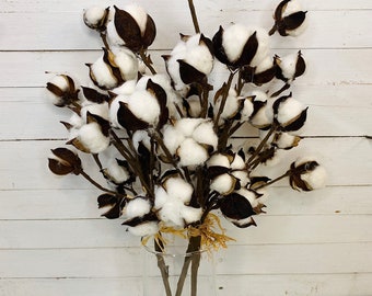 Rustic Cotton Stem - Rustic Farmhouse Decor - Dried Cotton - Cotton Flowers - Country Chic - Cotton Picks