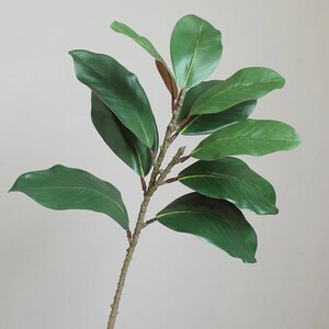 Puede incluir: Un solo tallo de hojas de magnolia artificiales con un tallo marrón y varias hojas verdes.