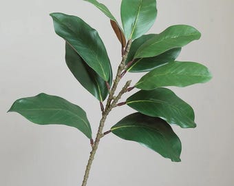 May include: A single stem of artificial magnolia leaves with a brown stem and multiple green leaves.