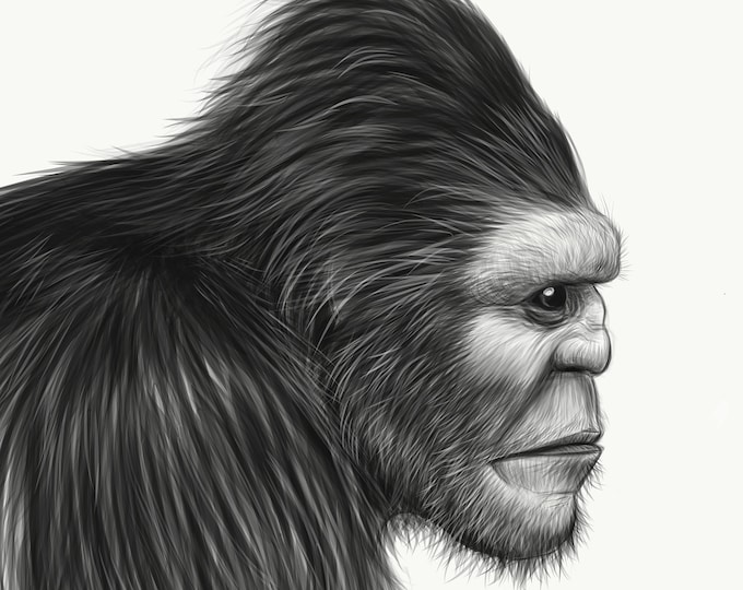 Bigfoot Sketch "Him" 11x14 inches