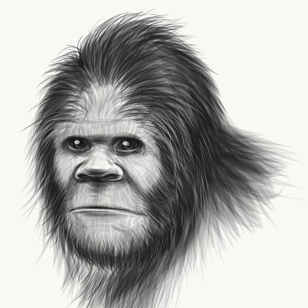 Bigfoot Sketch Etsy