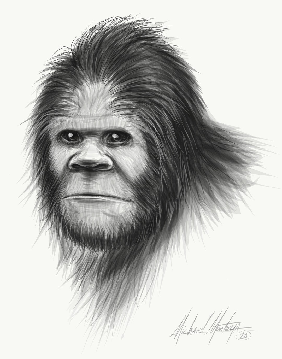 Bigfoot Sketch old Pretty Eyes 11x14 Inches - Etsy