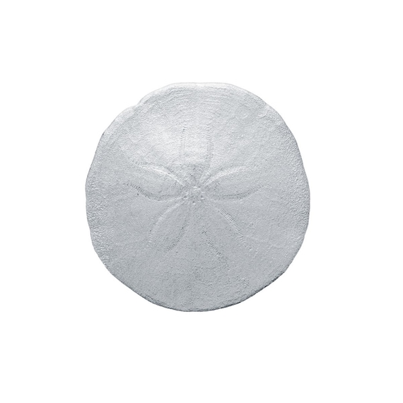 Cast pewter sand dollars with serious weight and detail — feels like a treasure you found, not something you bought, and doubles as a keepsake or wedding favor.