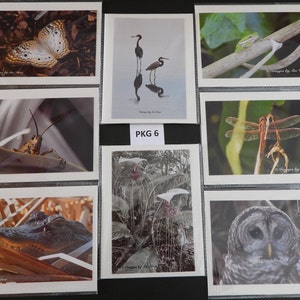 Florida Photo Note Cards Greeting Cards Blank - Handgefertigtes Set von 8 Elfenbeinfarbene Grußkarten mit Umschlag - Fotografie aus Florida
