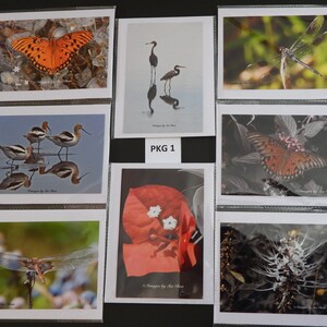 Cartes de correspondance avec photo de Floride, cartes de voeux vierges, lot de 8 cartes de correspondance blanches faites main avec enveloppe, photographie de Floride