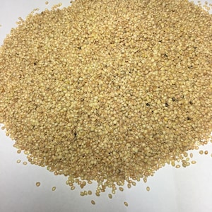 Peut inclure: Une vue rapprochée d'un tas de graines de millet. Les graines sont de couleur beige clair et sont dispersées sur une surface blanche.