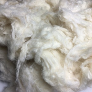Può includere: Primo piano di un mucchio di fibre di cotone bianche. Le fibre sono morbide e soffici, e sono perfette per l'artigianato o per riempire i cuscini.