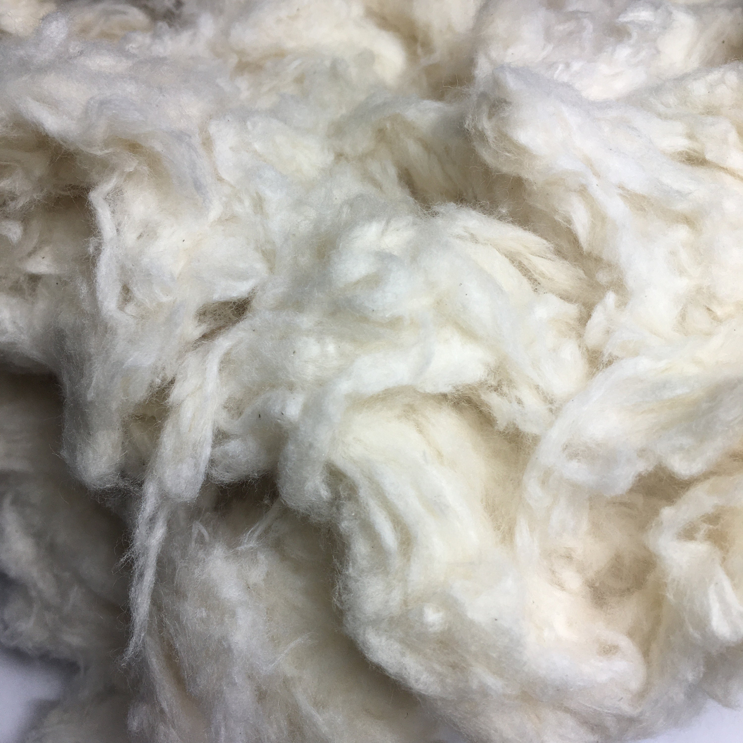 Füllwatte Aus 100% Schafschurwolle – 5 Kg Packung, Natur, Fein, Kompostierbar, Für Kuscheltiere, Kissen & Bastelarbeiten