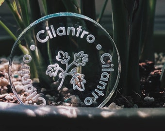 Lasercut Cilantro Marker • Plant Accessory • Clear Acrylic Herb Sign