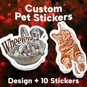3" Custom Cartoon Pet Vinyl Stickers – Waterproof Decals (Design + Set of 10)"