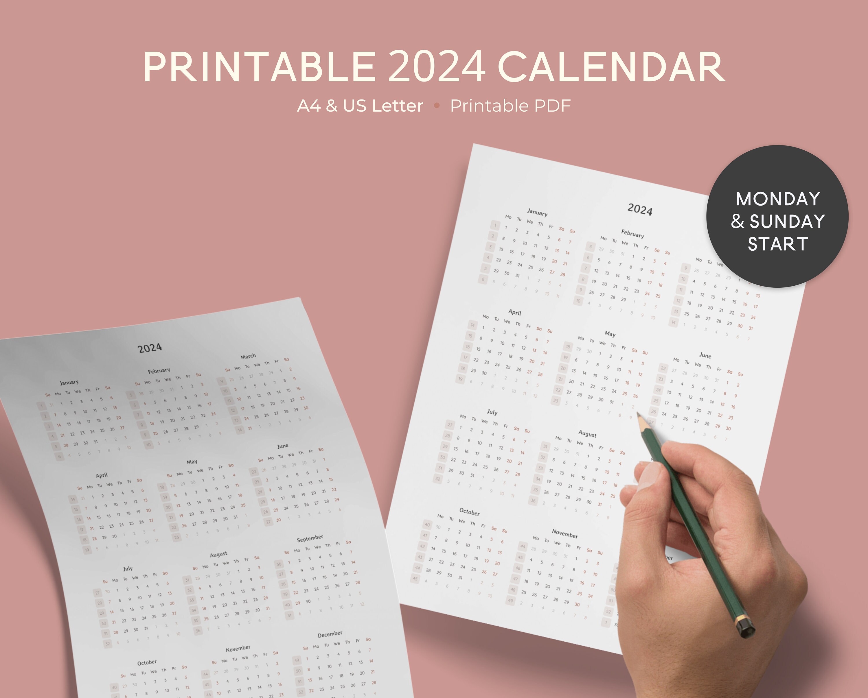 2024 Year at a Glance Printable Calendar PDF US Letter A4 Yearly ...