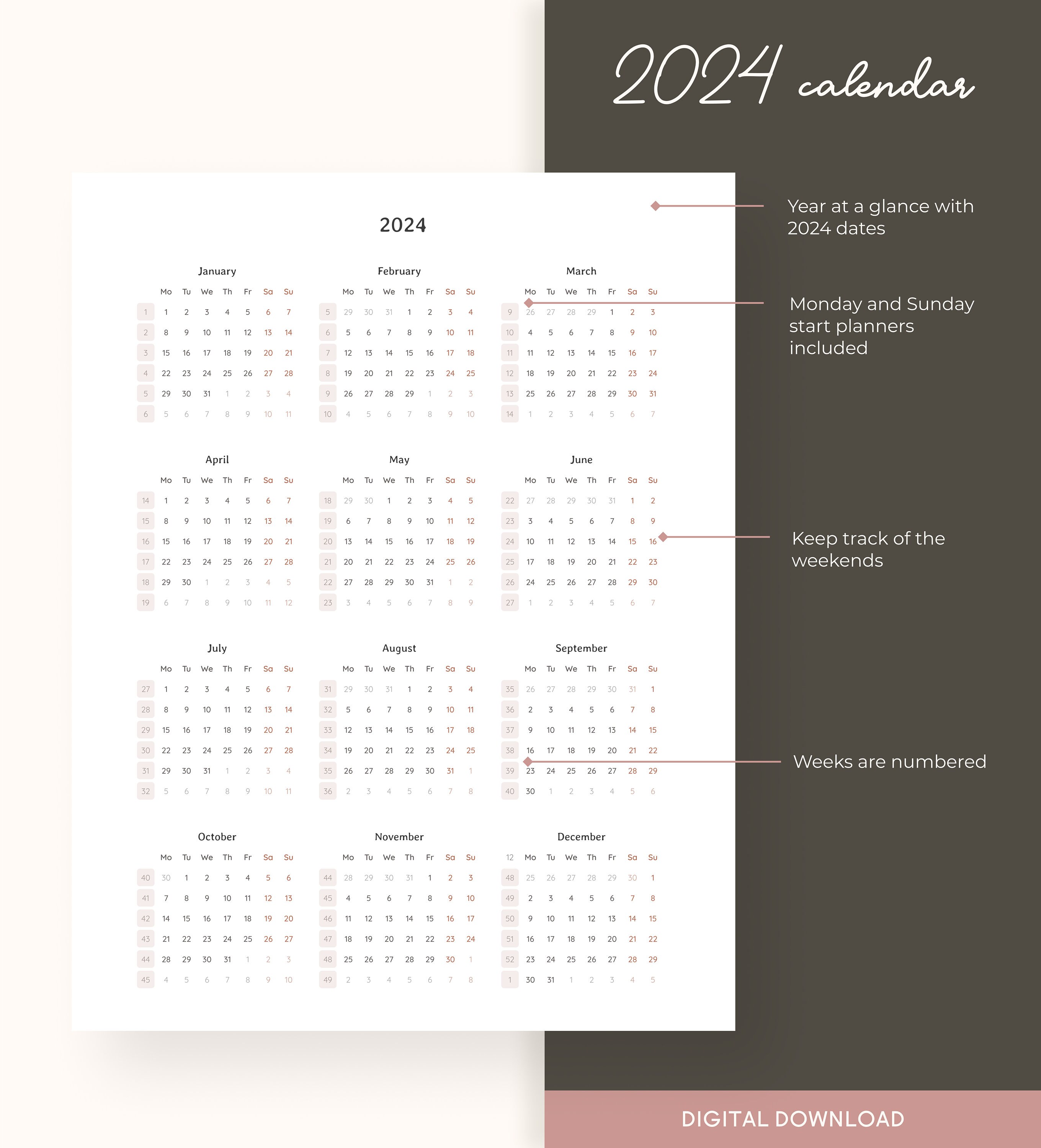 2024 Year at a Glance Printable Calendar PDF US Letter A4 Yearly ...