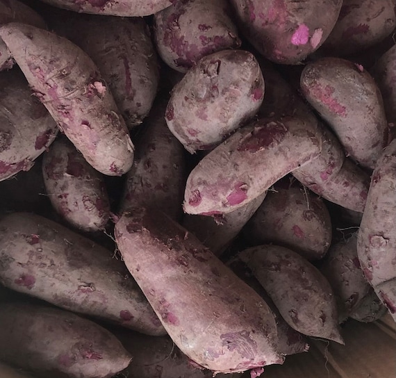 2 Lbs Japanese Purple Naturally grown sweet potatoes/purple Etsy.de