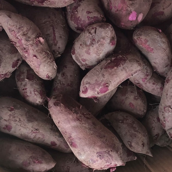 2 Lbs Japanese Purple Naturally grown sweet potatoes/purple flesh