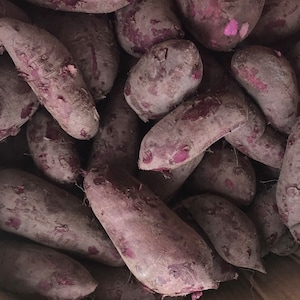 May include: A close-up shot of a pile of purple sweet potatoes. The potatoes have a rough, earthy texture with a purplish-brown skin. Some areas reveal the vibrant purple flesh beneath the skin. The image is well-lit, showcasing the natural colors and textures.