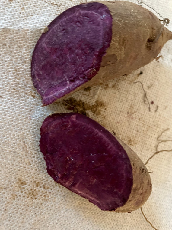  Okinawa Purple Sweet Potato, Hawaii Purple Potato, (White Skin  Purple Flesh). Excellent Yields and Flavor. Stores Well. (3 LB)