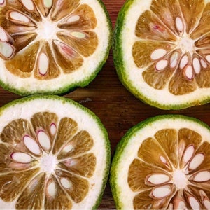 May include: Four halved green citrus fruits with white flesh and brown seeds. The citrus fruits are arranged in a square pattern on a wooden surface.