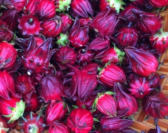 Dried Jamaican Sorrel: Organic Hibiscus Tea, Caribbean Drink