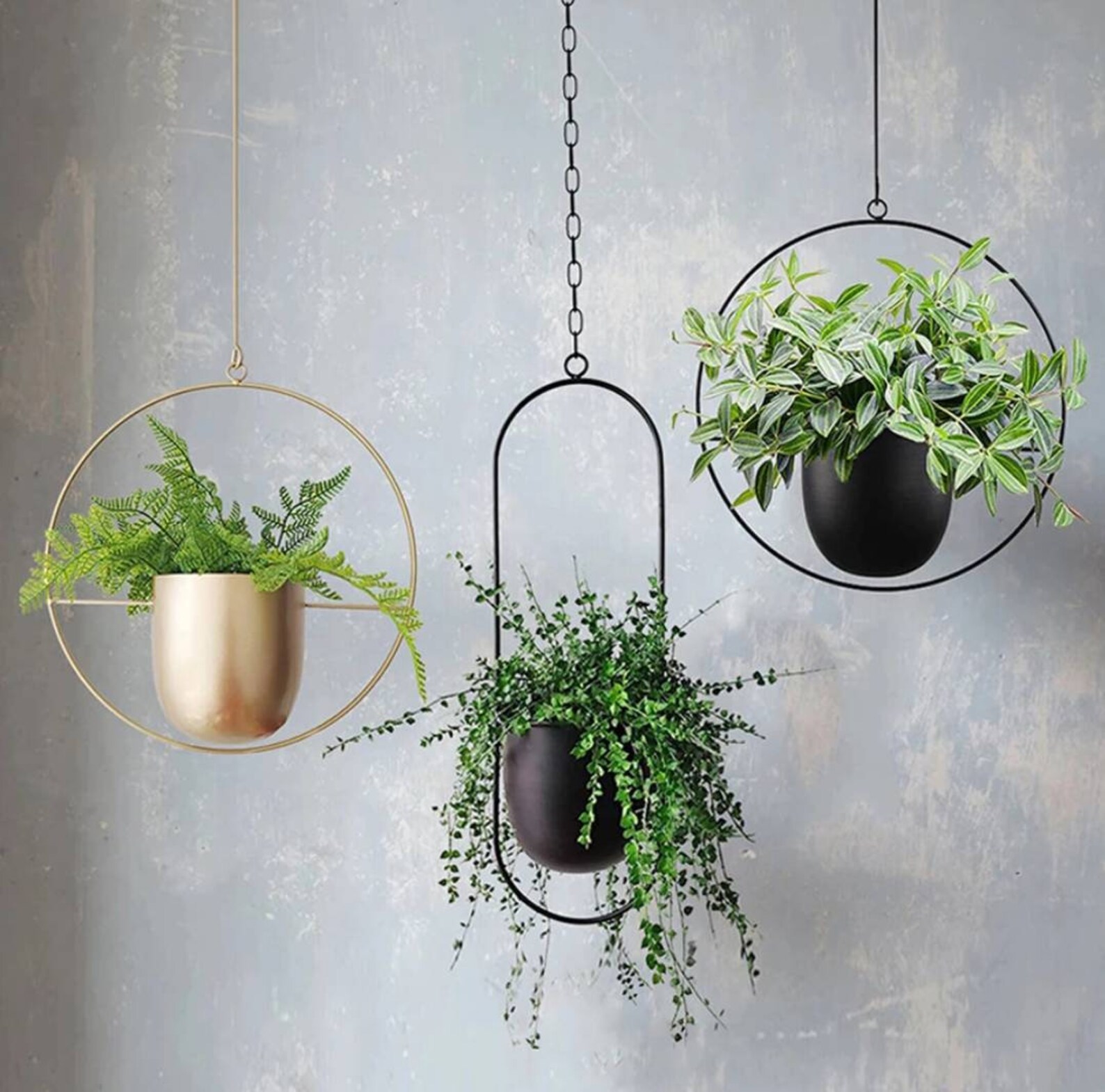 Gold Metal Modern Hanging Pot Planters Planter Hanging Etsy