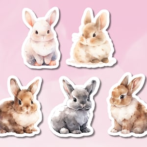 Pegatina de conejo bebé, conjunto de pegatinas de conejito bebé Chonky, pegatinas de conejito lindo, pegatina para su diario, suministros BuJo, pegatina para niños